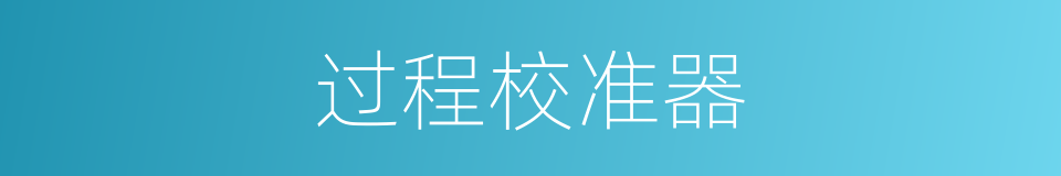 过程校准器的同义词