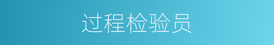 过程检验员的同义词