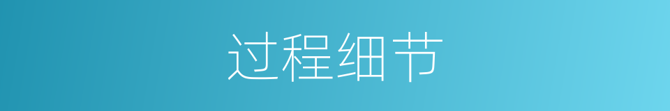 过程细节的同义词