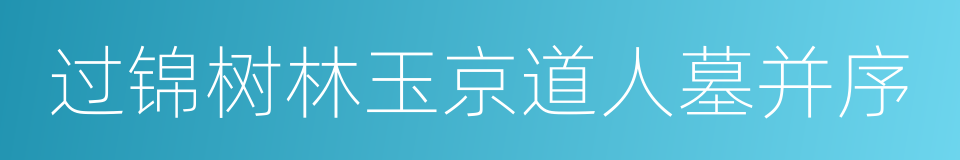 过锦树林玉京道人墓并序的同义词