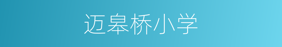 迈皋桥小学的同义词