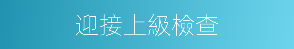 迎接上級檢查的同義詞