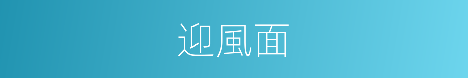 迎風面的意思