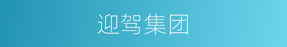 迎驾集团的同义词