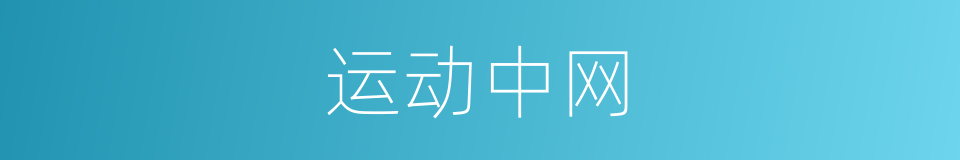 运动中网的同义词