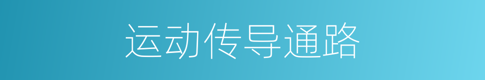 运动传导通路的同义词