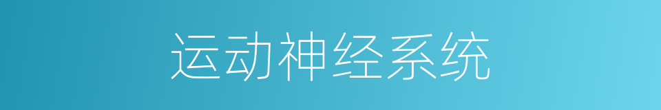 运动神经系统的同义词