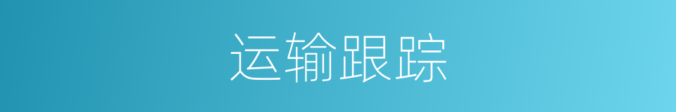 运输跟踪的同义词