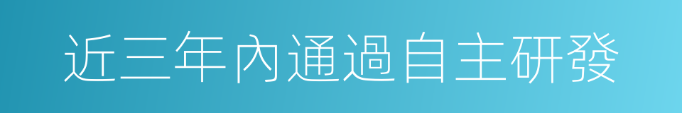 近三年內通過自主研發的同義詞