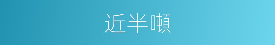 近半噸的同義詞