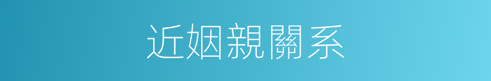 近姻親關系的同義詞