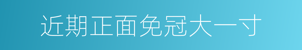 近期正面免冠大一寸的同义词