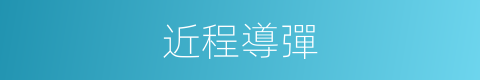 近程導彈的意思