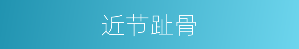 近节趾骨的同义词