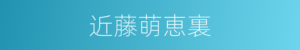 近藤萌恵裏的同義詞