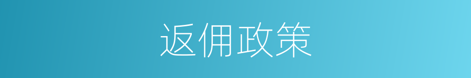 返佣政策的同义词