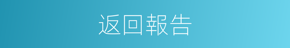 返回報告的同義詞