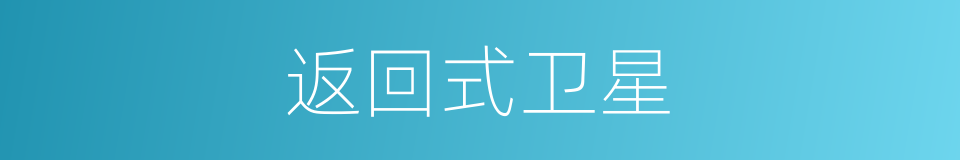 返回式卫星的同义词