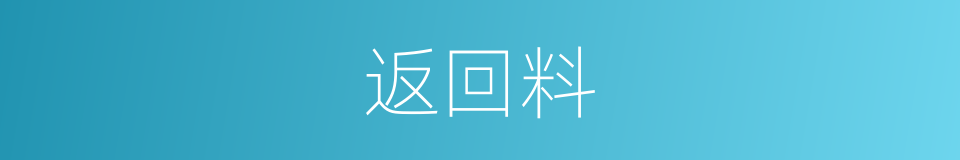 返回料的同义词