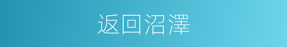 返回沼澤的同義詞