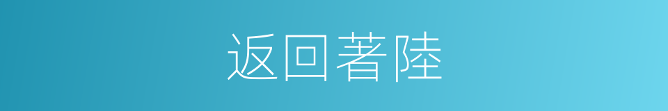 返回著陸的同義詞