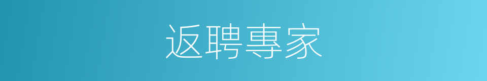 返聘專家的同義詞