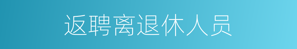 返聘离退休人员的同义词