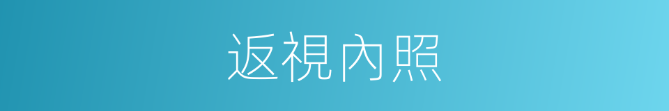 返視內照的意思
