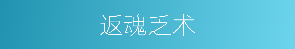 返魂乏术的意思