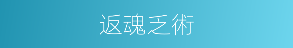 返魂乏術的意思
