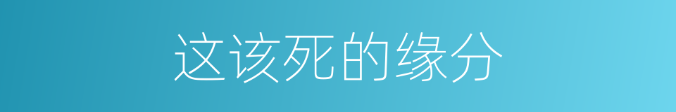 这该死的缘分的同义词