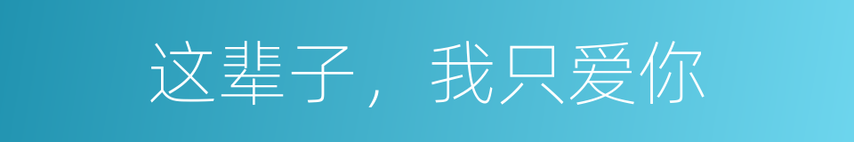 这辈子，我只爱你的同义词