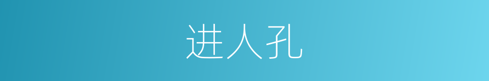 进人孔的同义词