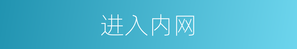 进入内网的同义词
