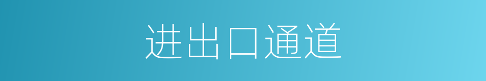 进出口通道的同义词