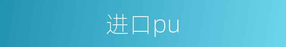 进口pu的同义词
