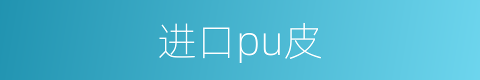 进口pu皮的同义词