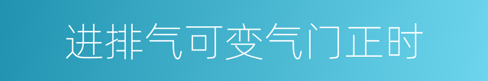 进排气可变气门正时的同义词