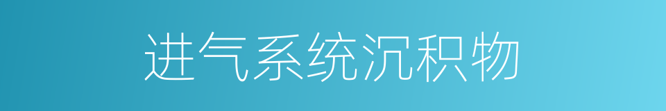 进气系统沉积物的同义词