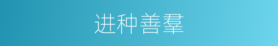 进种善羣的意思