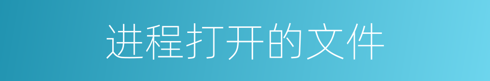 进程打开的文件的同义词