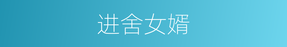 进舍女婿的同义词
