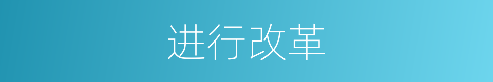 进行改革的同义词