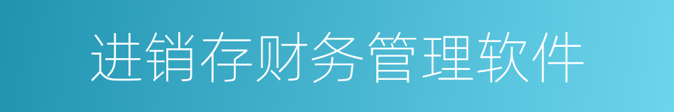 进销存财务管理软件的同义词