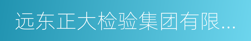 远东正大检验集团有限公司的同义词