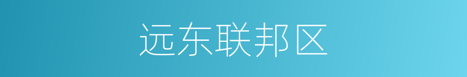 远东联邦区的同义词