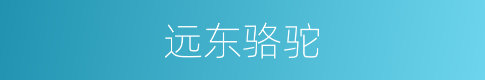 远东骆驼的同义词