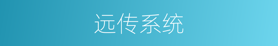 远传系统的同义词