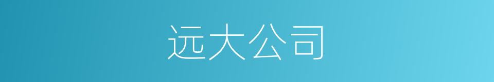 远大公司的同义词
