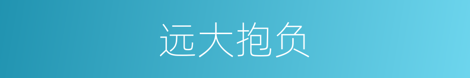 远大抱负的意思